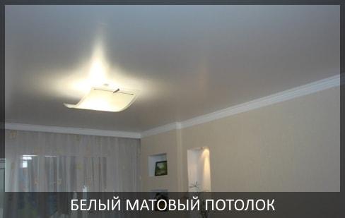 Натяжной потолок в гостиную фото цена, матовый одноуровневый натяжной потолок для зала.